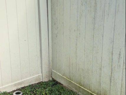 Vinyl fence panels streaked green and gray with dark growth along the base
