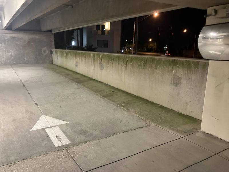 Garage wall and drive lane with green algae growing along the base of the wall, photographed after dark