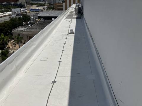 Commercial Roof after cleaning