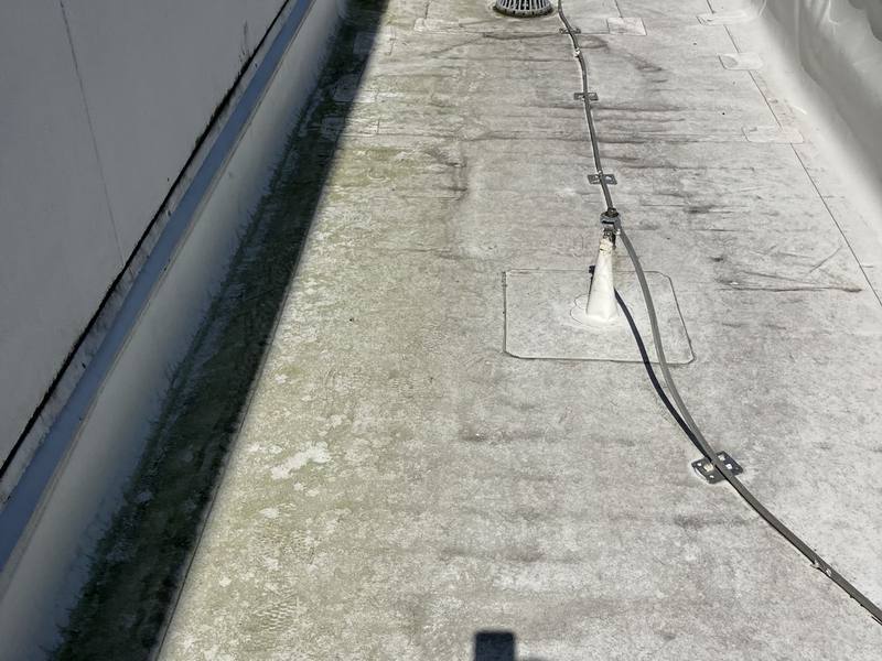 Flat commercial roof surface covered in green-gray growth and dark staining beside a tall wall, with a roof drain in the distance
