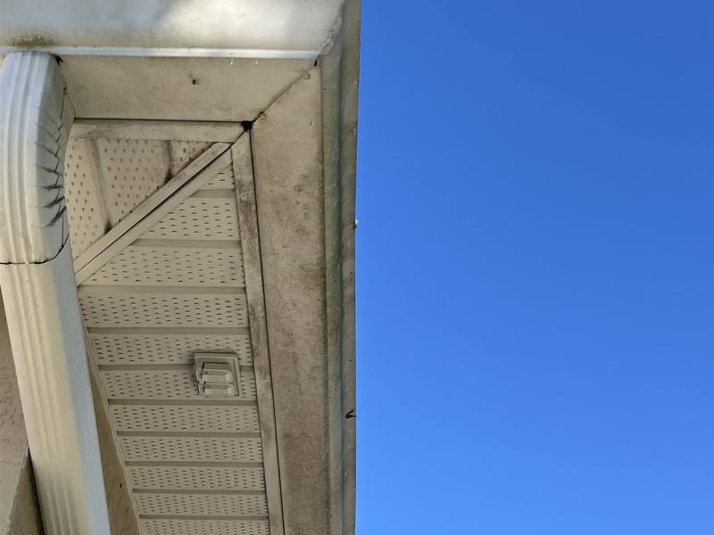 Vented soffit and gutter downspout under a roof edge, stained gray and black with mildew, before cleaning