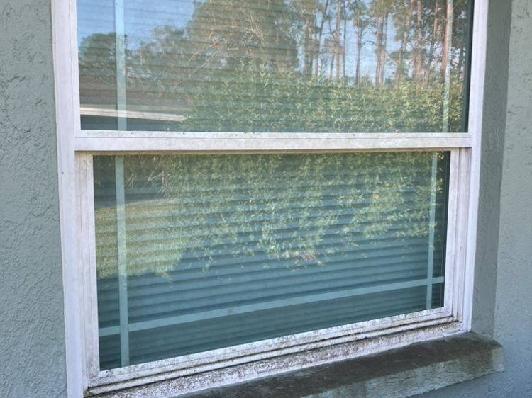 White window frame and sill with a band of gray dirt and mildew along the sill